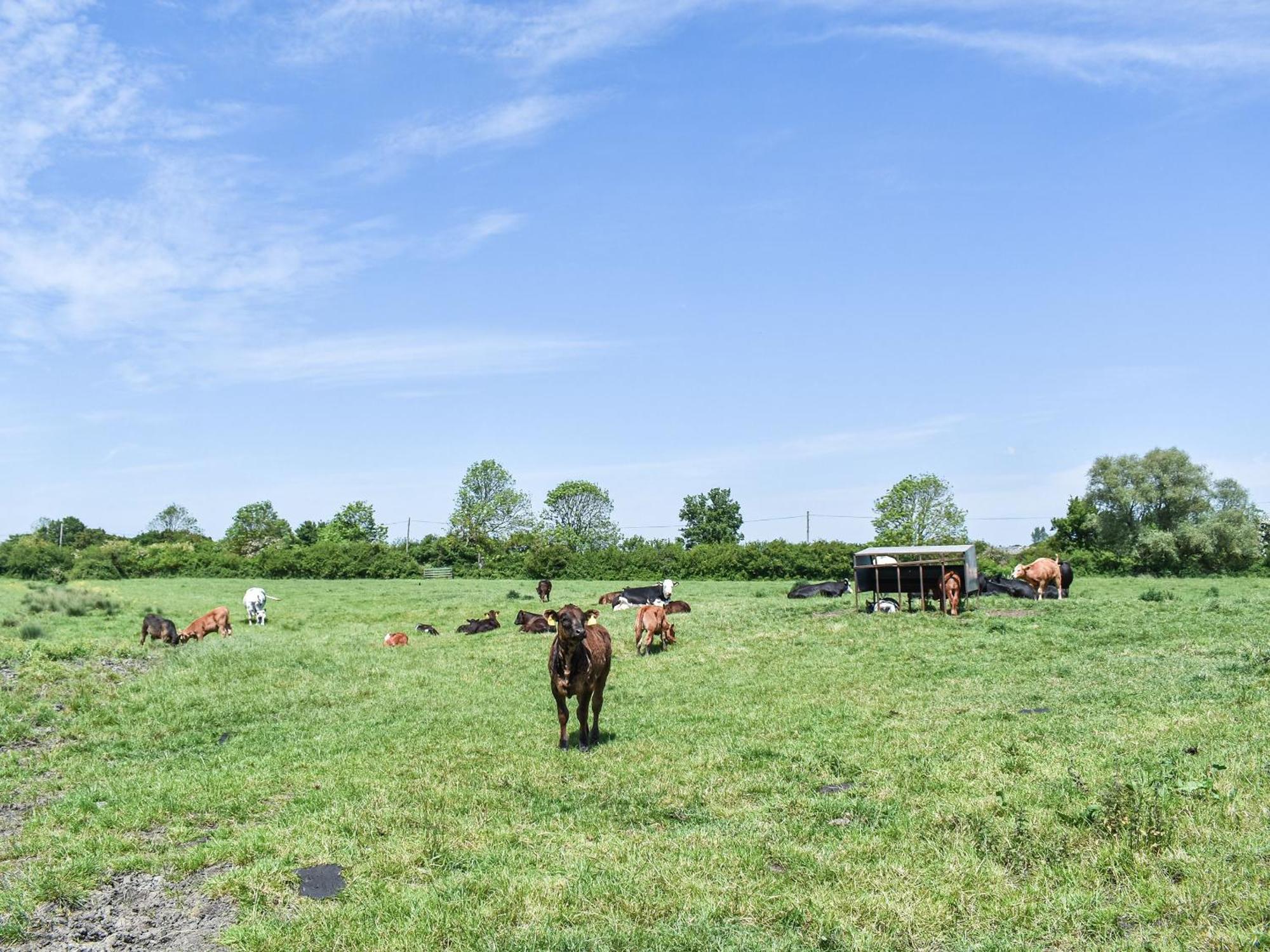 Green Acre Farm Или Экстерьер фото